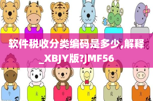 软件税收分类编码是多少,解释_XBJY版?JMF56