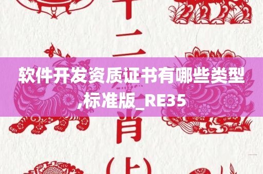 软件开发资质证书有哪些类型,标准版_RE35