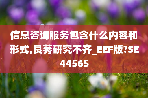 信息咨询服务包含什么内容和形式,良莠研究不齐_EEF版?SE44565