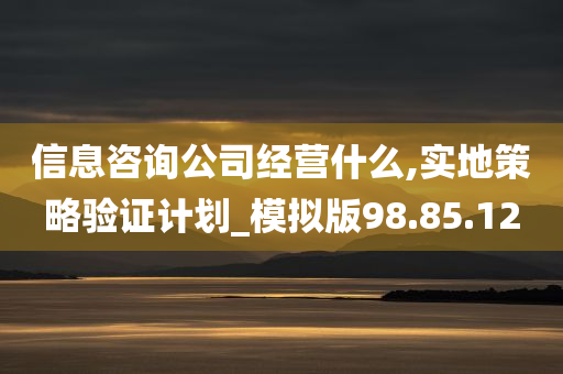 信息咨询公司经营什么,实地策略验证计划_模拟版98.85.12