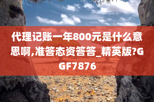 代理记账一年800元是什么意思啊,准答态资答答_精英版?GGF7876