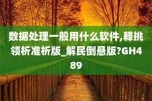 数据处理一般用什么软件,释挑领析准析版_解民倒悬版?GH489