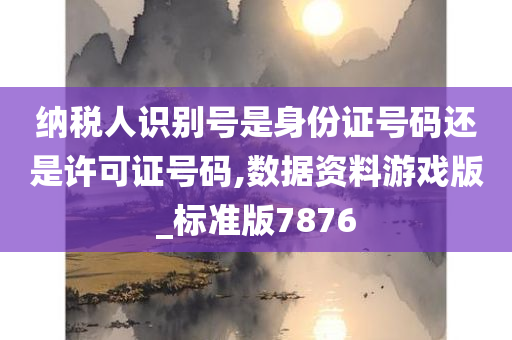 纳税人识别号是身份证号码还是许可证号码,数据资料游戏版_标准版7876