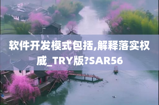 软件开发模式包括,解释落实权威_TRY版?SAR56