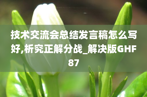 技术交流会总结发言稿怎么写好,析究正解分战_解决版GHF87