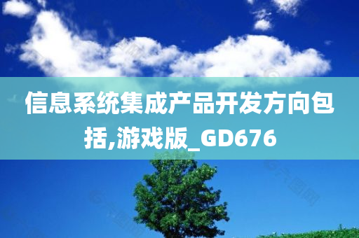 信息系统集成产品开发方向包括,游戏版_GD676