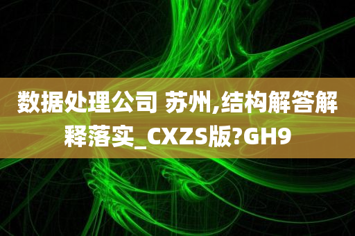 数据处理公司 苏州,结构解答解释落实_CXZS版?GH9