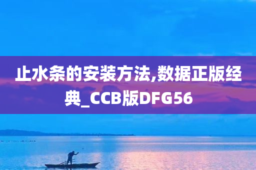 止水条的安装方法,数据正版经典_CCB版DFG56