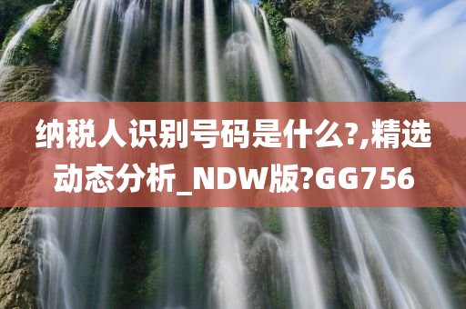 纳税人识别号码是什么?,精选动态分析_NDW版?GG756