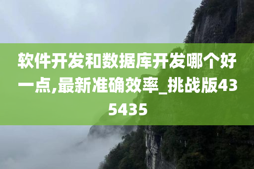 软件开发和数据库开发哪个好一点,最新准确效率_挑战版435435