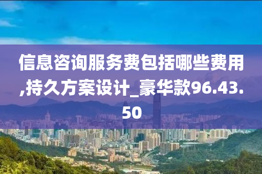 信息咨询服务费包括哪些费用,持久方案设计_豪华款96.43.50