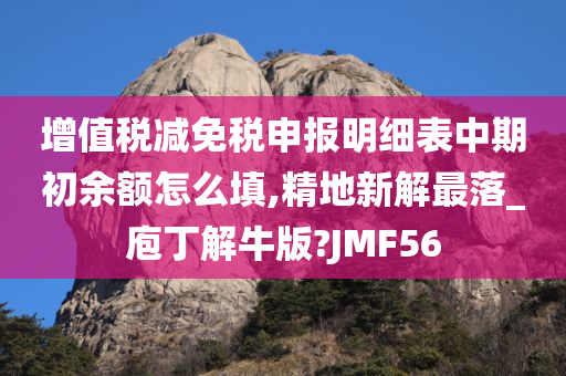 增值税减免税申报明细表中期初余额怎么填,精地新解最落_庖丁解牛版?JMF56