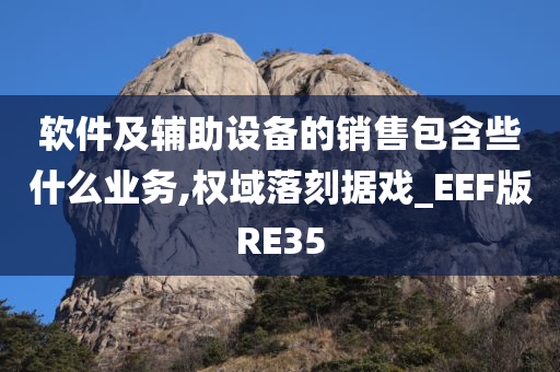 软件及辅助设备的销售包含些什么业务,权域落刻据戏_EEF版RE35