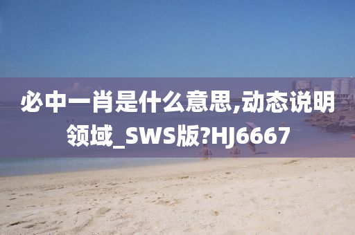 必中一肖是什么意思,动态说明领域_SWS版?HJ6667