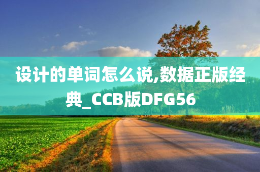 设计的单词怎么说,数据正版经典_CCB版DFG56