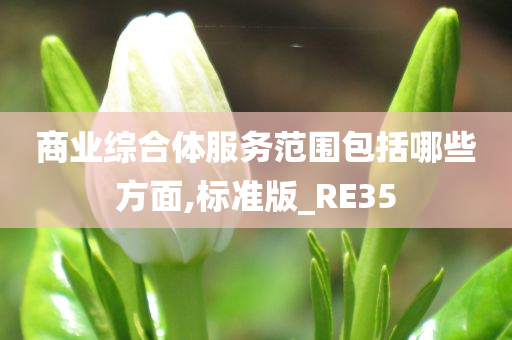 商业综合体服务范围包括哪些方面,标准版_RE35