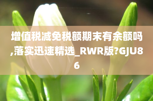 增值税减免税额期末有余额吗,落实迅速精选_RWR版?GJU86