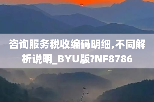 咨询服务税收编码明细,不同解析说明_BYU版?NF8786