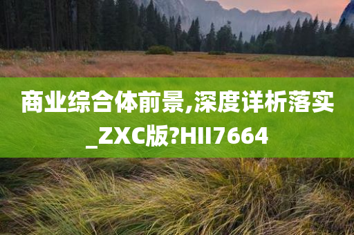 商业综合体前景,深度详析落实_ZXC版?HII7664