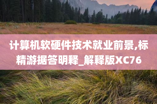 计算机软硬件技术就业前景,标精游据答明释_解释版XC76