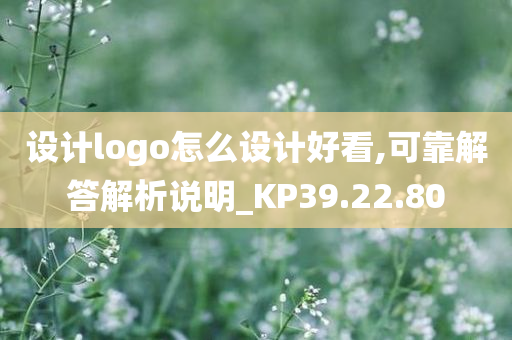 设计logo怎么设计好看,可靠解答解析说明_KP39.22.80