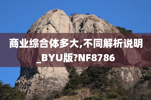 商业综合体多大,不同解析说明_BYU版?NF8786