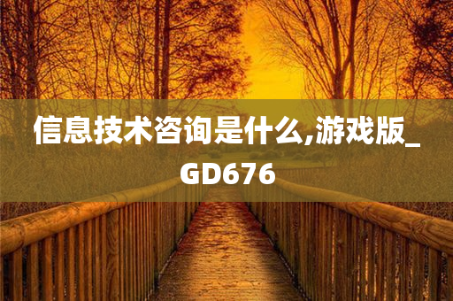 信息技术咨询是什么,游戏版_GD676