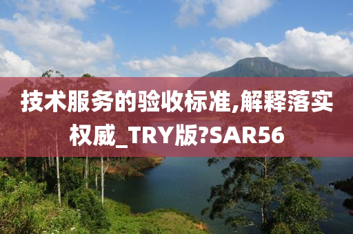 技术服务的验收标准,解释落实权威_TRY版?SAR56