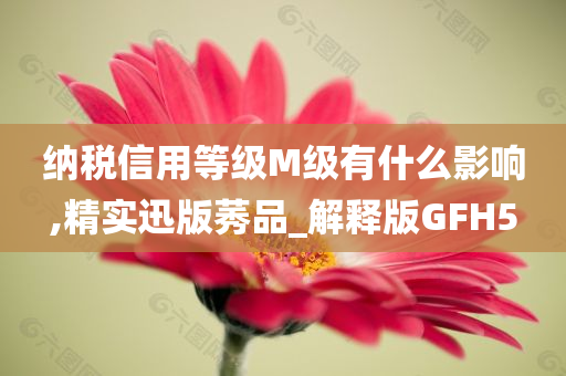 纳税信用等级M级有什么影响,精实迅版莠品_解释版GFH5