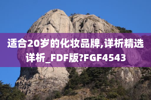 适合20岁的化妆品牌,详析精选详析_FDF版?FGF4543