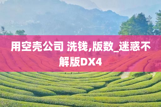 用空壳公司 洗钱,版数_迷惑不解版DX4