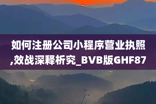 如何注册公司小程序营业执照,效战深释析究_BVB版GHF87