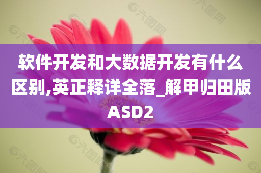 软件开发和大数据开发有什么区别,英正释详全落_解甲归田版ASD2