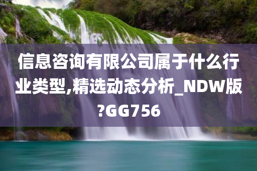 信息咨询有限公司属于什么行业类型,精选动态分析_NDW版?GG756