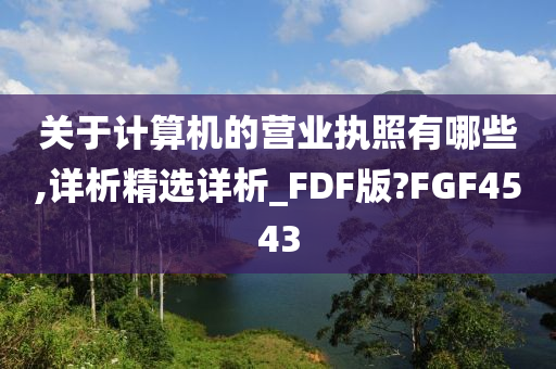 关于计算机的营业执照有哪些,详析精选详析_FDF版?FGF4543