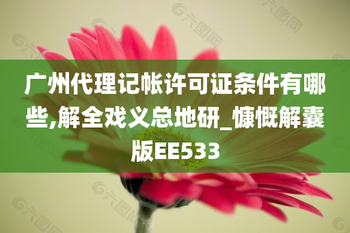 广州代理记帐许可证条件有哪些,解全戏义总地研_慷慨解囊版EE533