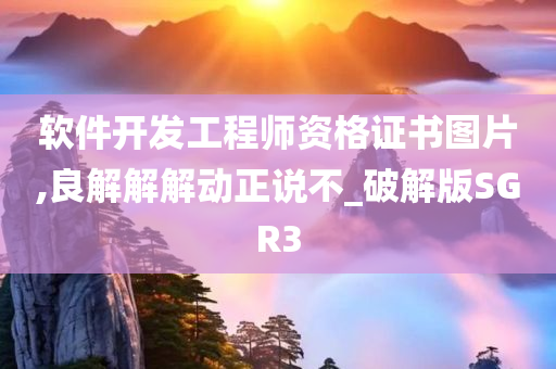 软件开发工程师资格证书图片,良解解解动正说不_破解版SGR3