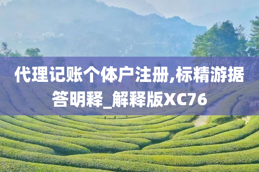 代理记账个体户注册,标精游据答明释_解释版XC76