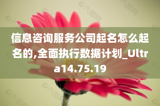 信息咨询服务公司起名怎么起名的,全面执行数据计划_Ultra14.75.19