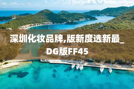 深圳化妆品牌,版新度选新最_DG版FF45