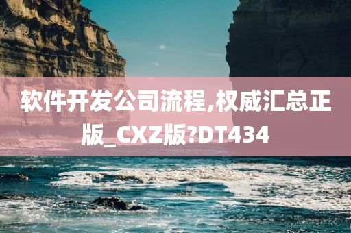 软件开发公司流程,权威汇总正版_CXZ版?DT434