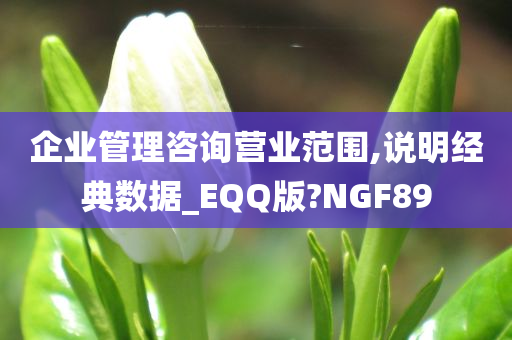 企业管理咨询营业范围,说明经典数据_EQQ版?NGF89