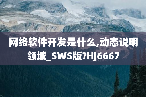 网络软件开发是什么,动态说明领域_SWS版?HJ6667