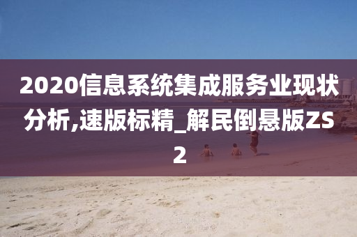 2020信息系统集成服务业现状分析,速版标精_解民倒悬版ZS2