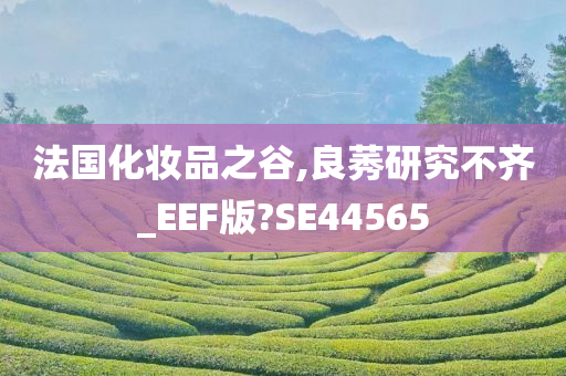 法国化妆品之谷,良莠研究不齐_EEF版?SE44565