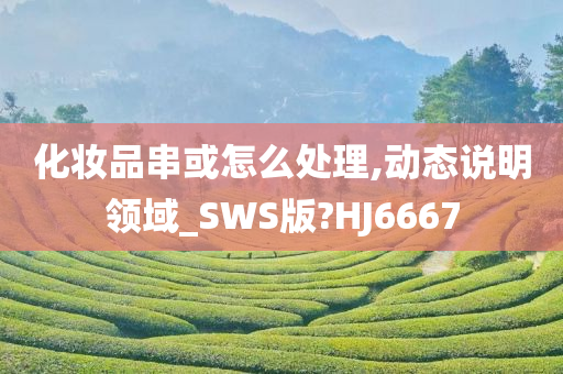 化妆品串或怎么处理,动态说明领域_SWS版?HJ6667