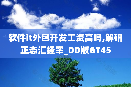 软件it外包开发工资高吗,解研正态汇经率_DD版GT45