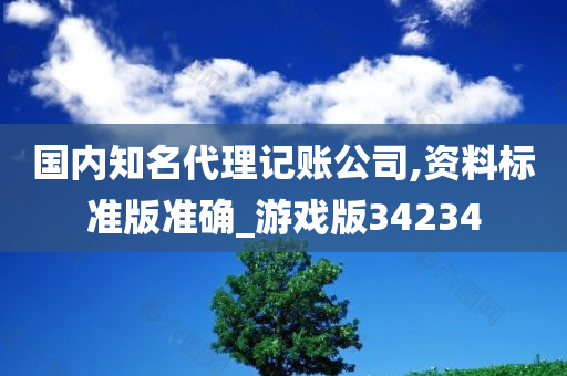 国内知名代理记账公司,资料标准版准确_游戏版34234