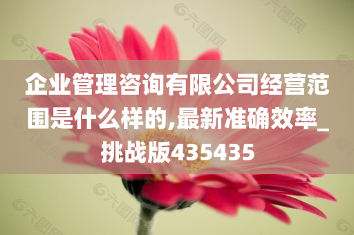 企业管理咨询有限公司经营范围是什么样的,最新准确效率_挑战版435435