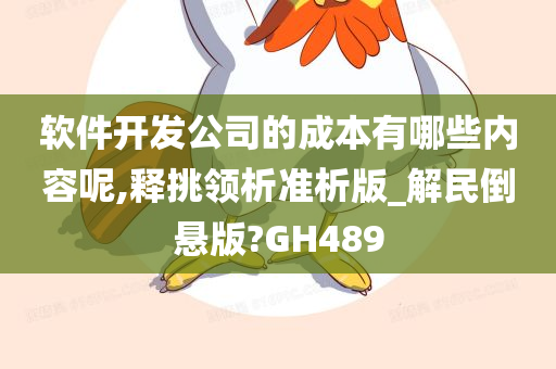 软件开发公司的成本有哪些内容呢,释挑领析准析版_解民倒悬版?GH489